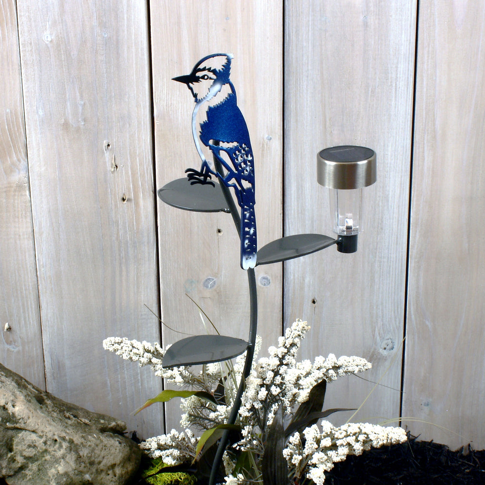 Blue Jay with solar light