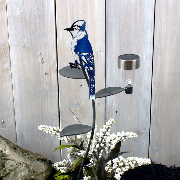 Blue Jay with solar light