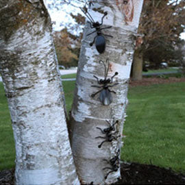 Metal Ant Family: Wall-mounted Metal Art Ants (2 Large Ants + 2 Small Ants)