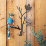 Blue Jay perched on a maple leaf branch