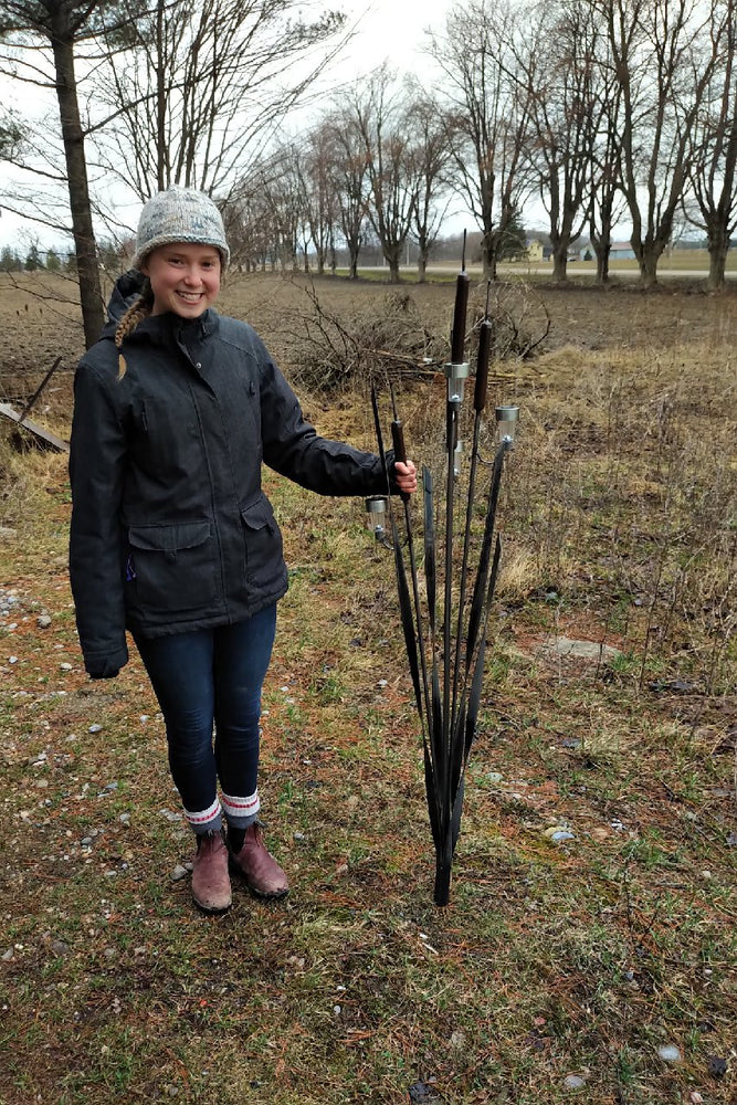 Solar light  Cattail Metal Art: Metal Bulrushes For Exterior Garden Décor