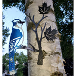 Blue Jay perched on a maple leaf branch