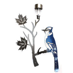Blue Jay on maple leaf branch with solar light