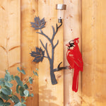 Red cardinal perched on a maple leaf branch with solar light