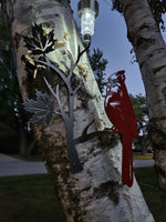 Red cardinal perched on a maple leaf branch with solar light