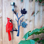 Red cardinal perched on a maple leaf branch with solar light