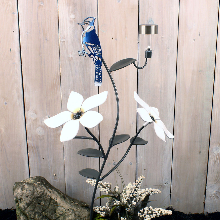 Blue Jay with solar light and two flowers