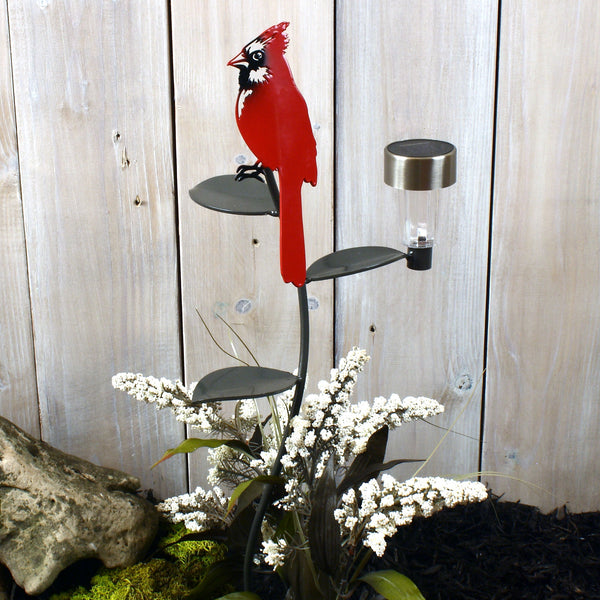 Red Cardinal with Solar Light