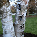 Ant Family 4Pc Set with 2 Large Ants + 2 Small Ants - Home, Garden & Yard Art Decorations.