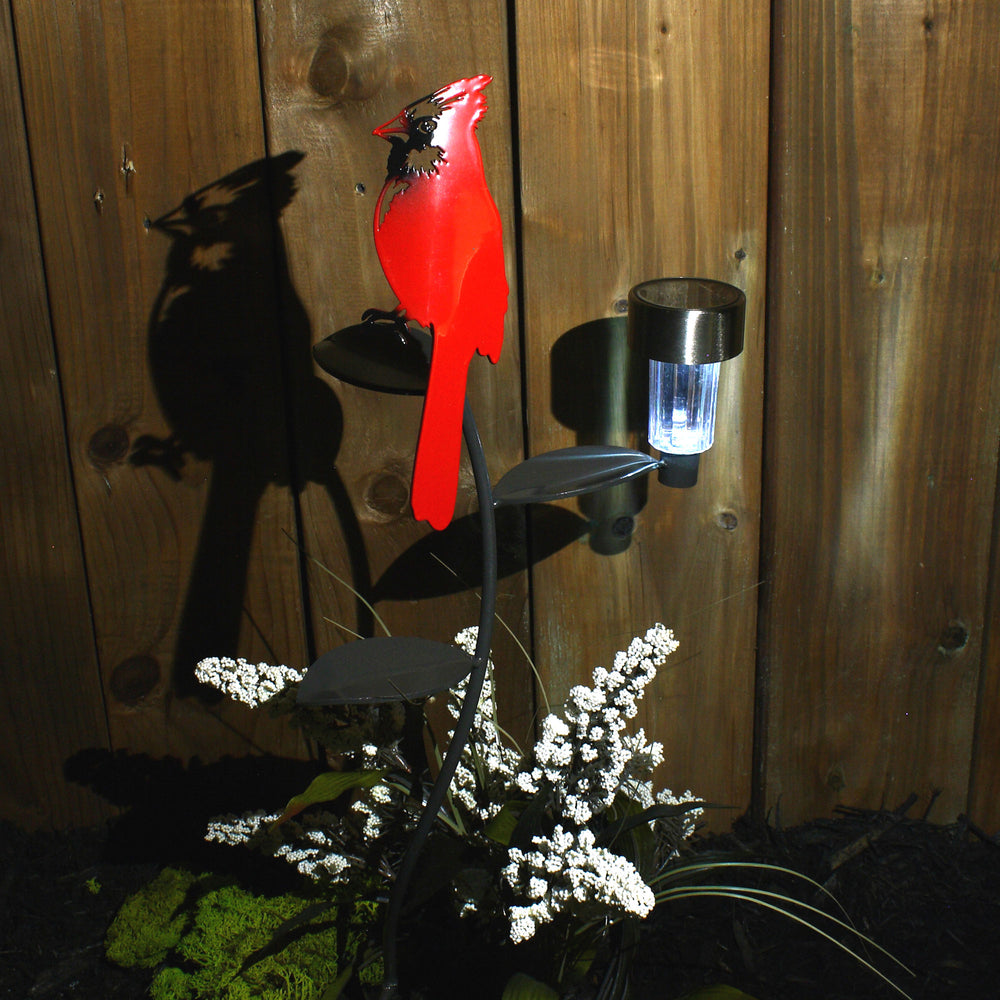 Red Cardinal with Solar Light