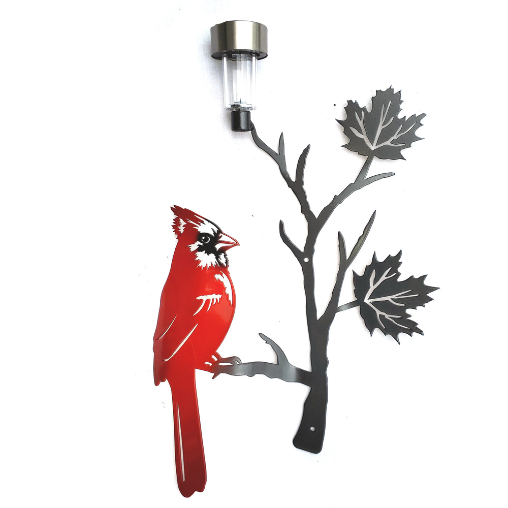 Red cardinal perched on a maple leaf branch with solar light