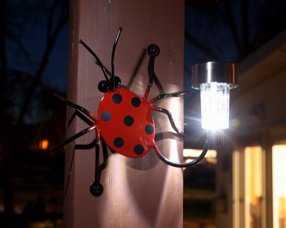 Solar Light Lady Bug