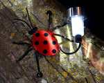 Solar Light Lady Bug For Fences Or Walls: Wall-mounted Metal Lady Bugs