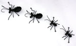 Metal Ant Family: Wall-mounted Metal Art Ants (2 Large Ants + 2 Small Ants)