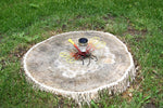 Dragonfly On Garden Stake with Solar Light For Housewarming & Birthday Present Holiday Gifts